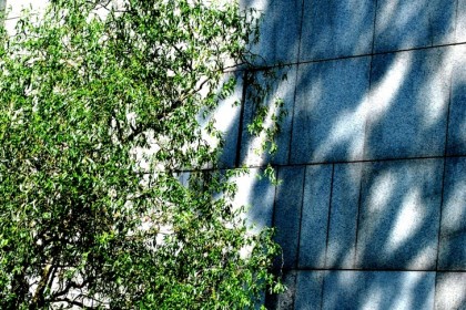 Stef Chair goes urban