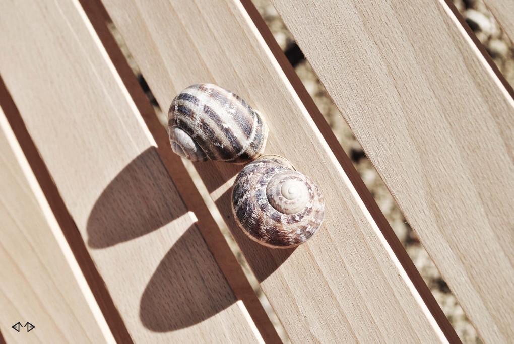 Secovlje Salina Nature Park